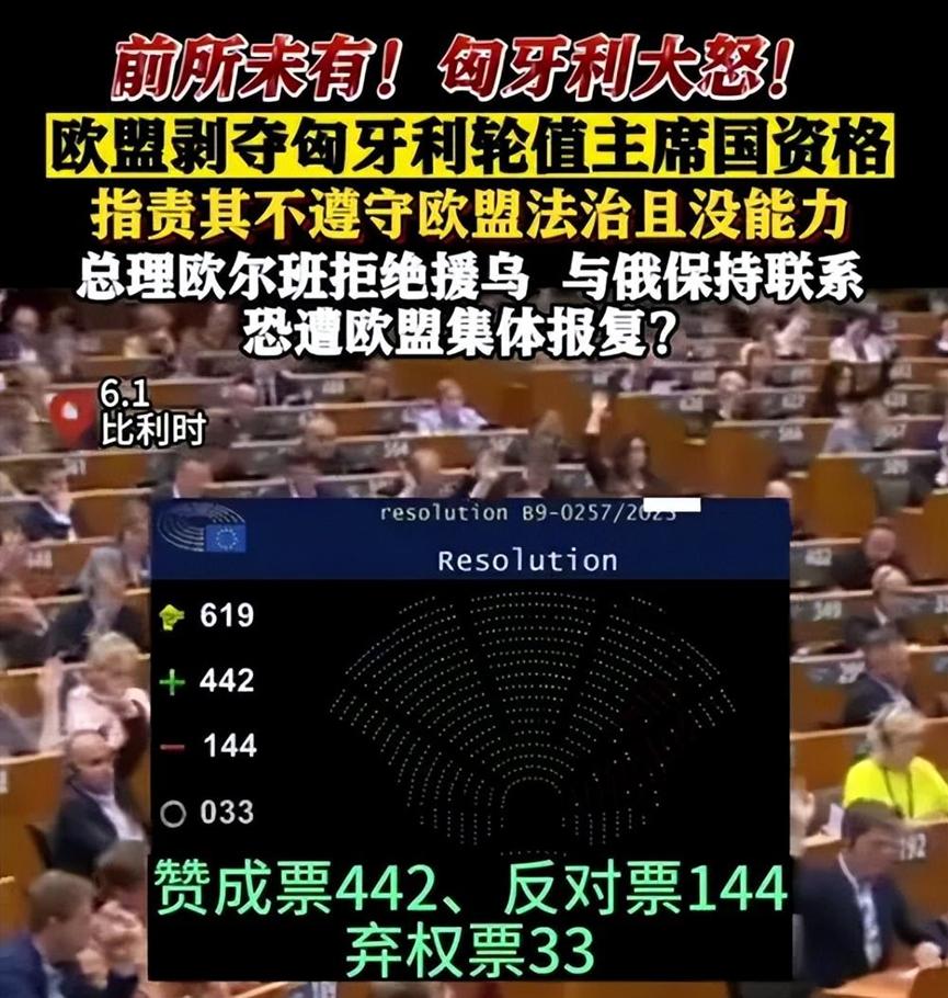 2024资科大全正版资料,综合数据解释定义_安卓92.442