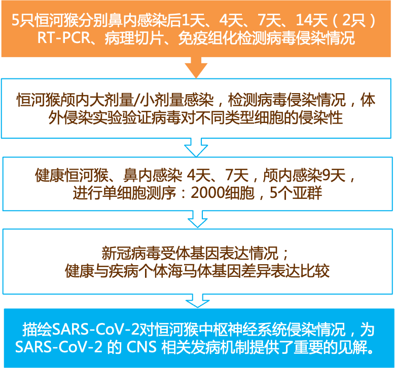 新奥资料免费精准大全,实效性解析解读策略_U28.121