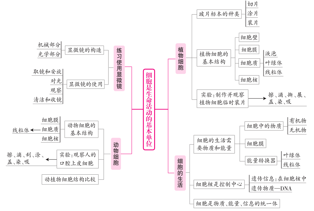 三肖三期必出特肖资料,现状分析解释定义_LT30.76