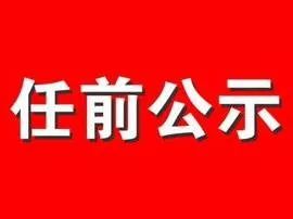 港北区人事任免动态更新