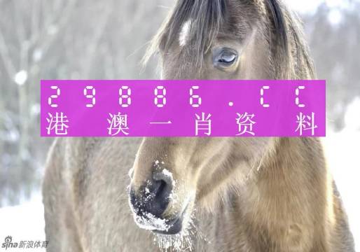 澳门精准一笑一码100,实时更新解析说明_体验版95.423