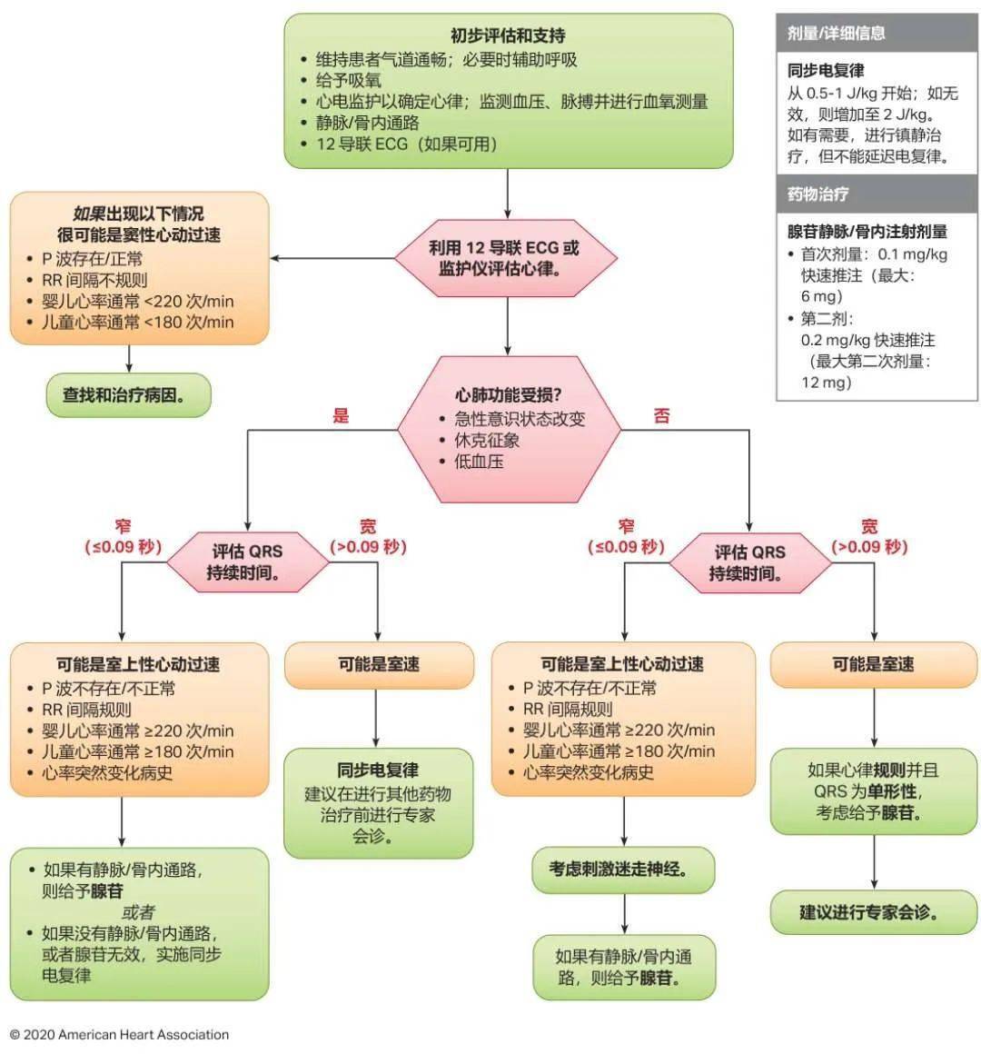 心电监护流程最新概述简述