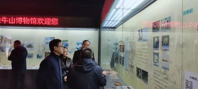 大石桥市图书馆重塑知识殿堂，推动文化繁荣新进展