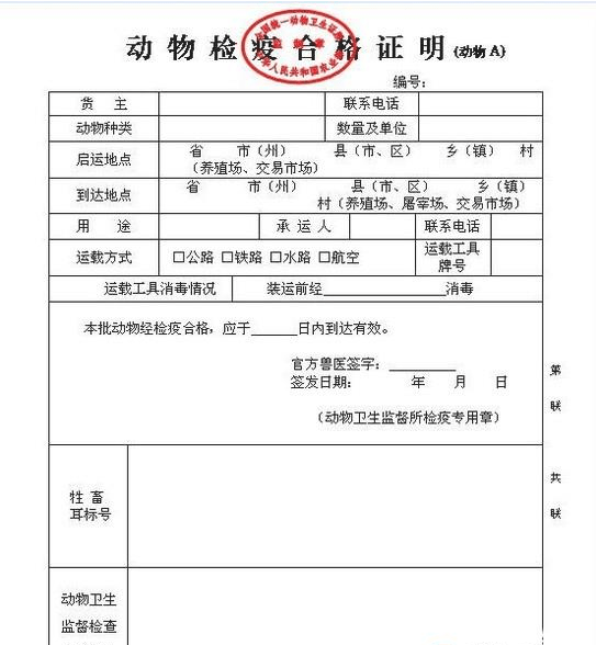 五指山市防疫检疫站人事任命最新动态与未来展望