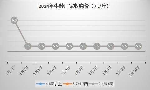 牛蛙价格最新行情解析