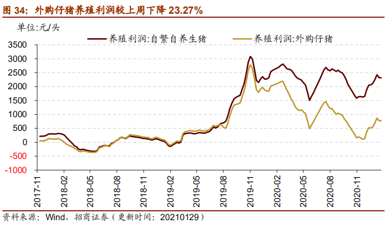 新澳开奖历史记录查询,实地评估数据策略_户外版49.598