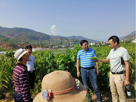 荔蒲县农业农村局新项目推动农业现代化，乡村振兴再添动力