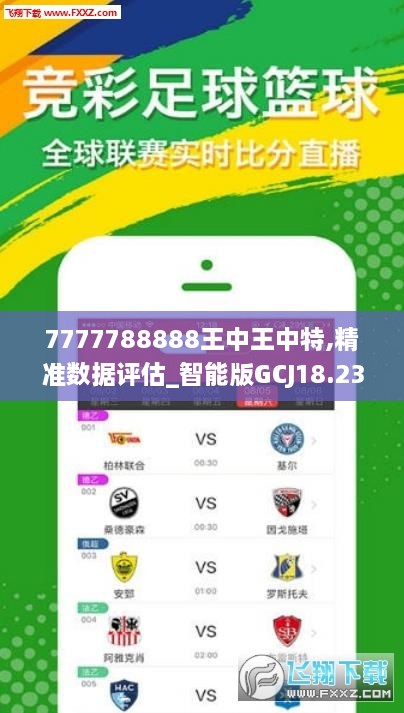 王中王72396.cσm.72326查询精选16码一,实践分析解析说明_3DM41.40