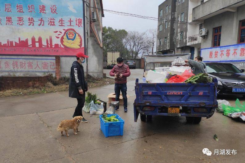 桥东区防疫检疫站未来发展规划揭晓