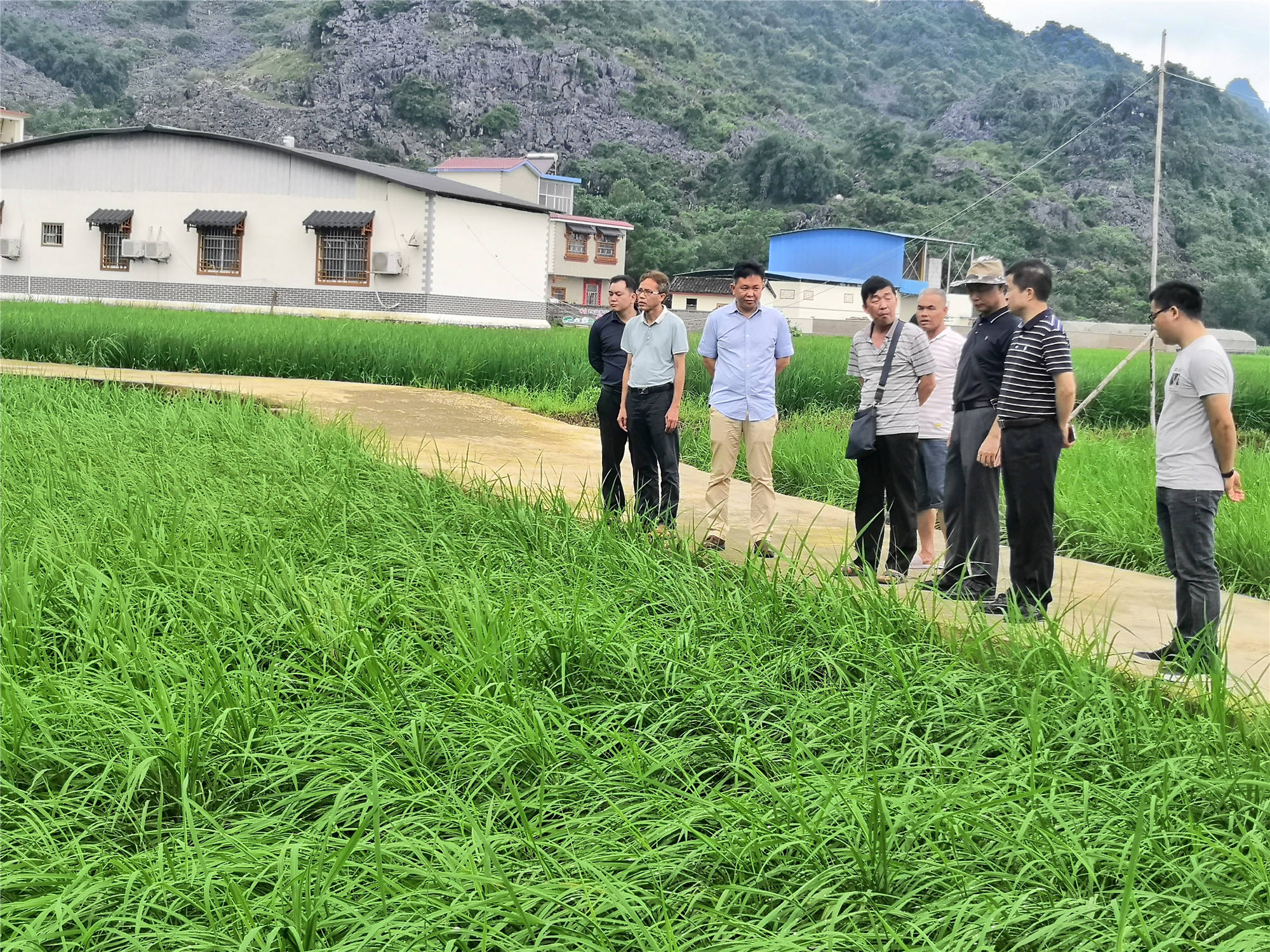 鹿寨县农业农村局最新动态报道