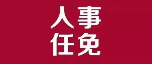 钟山区教育局人事大调整，重塑教育格局，引领未来教育腾飞发展之路