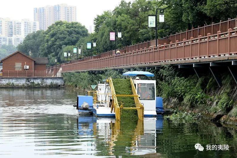 夷陵区小学最新项目，探索现代教育的新篇章