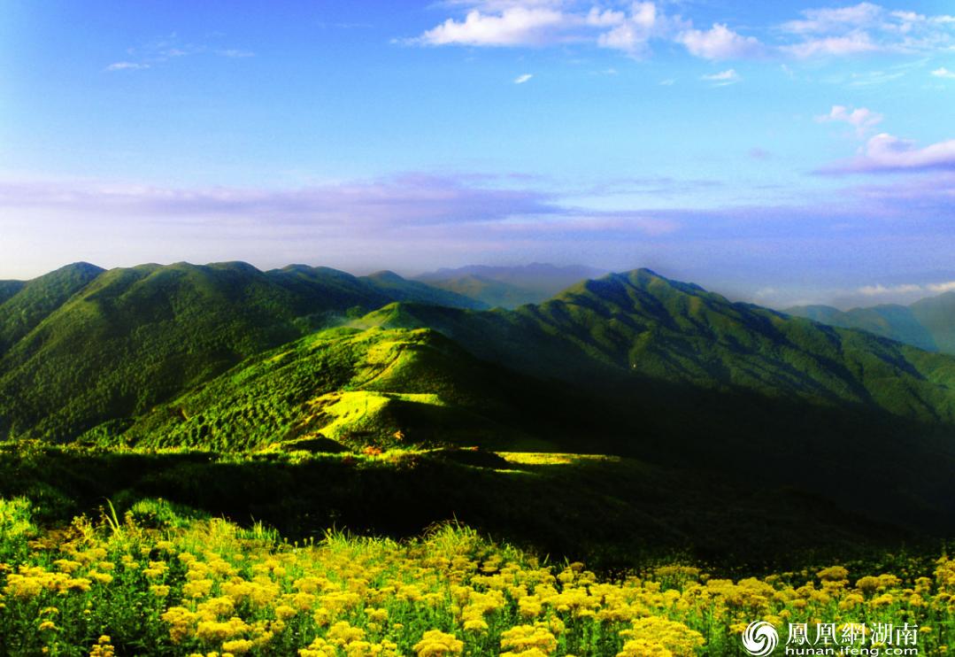 南山区农业农村局最新招聘信息详解